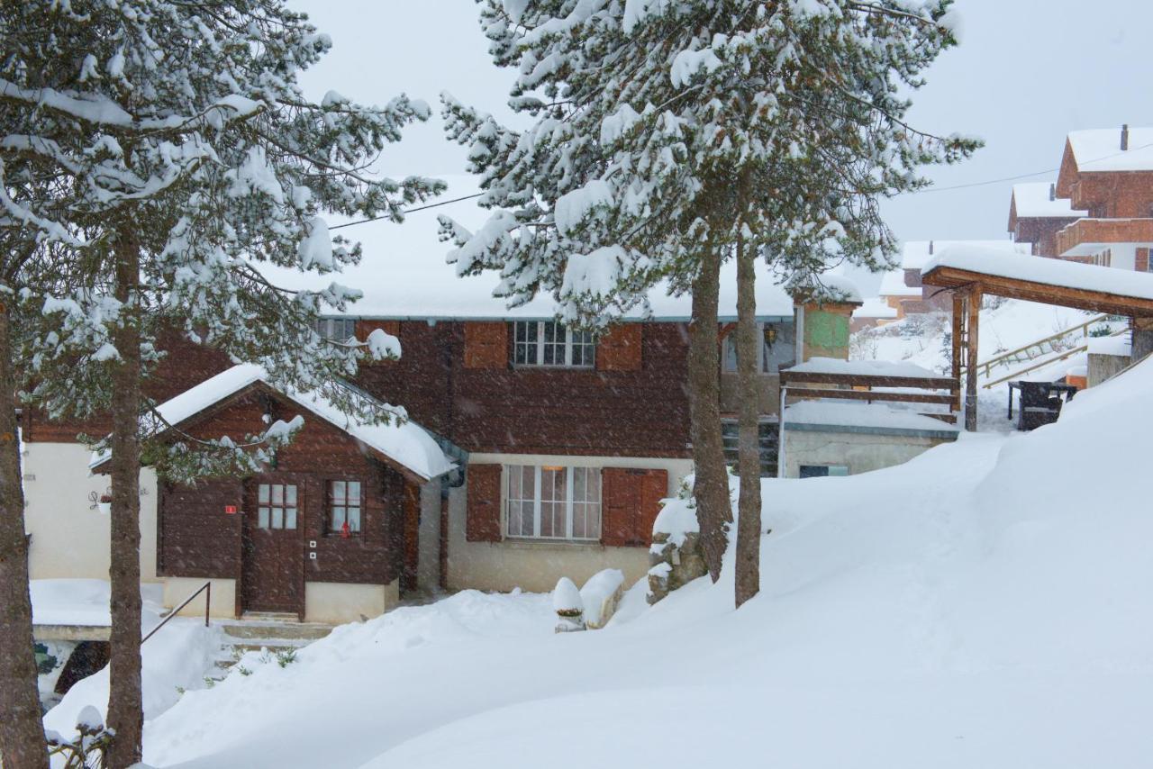 Chalet 4 Personnes Avec Sauna เลแซ็ง ภายนอก รูปภาพ
