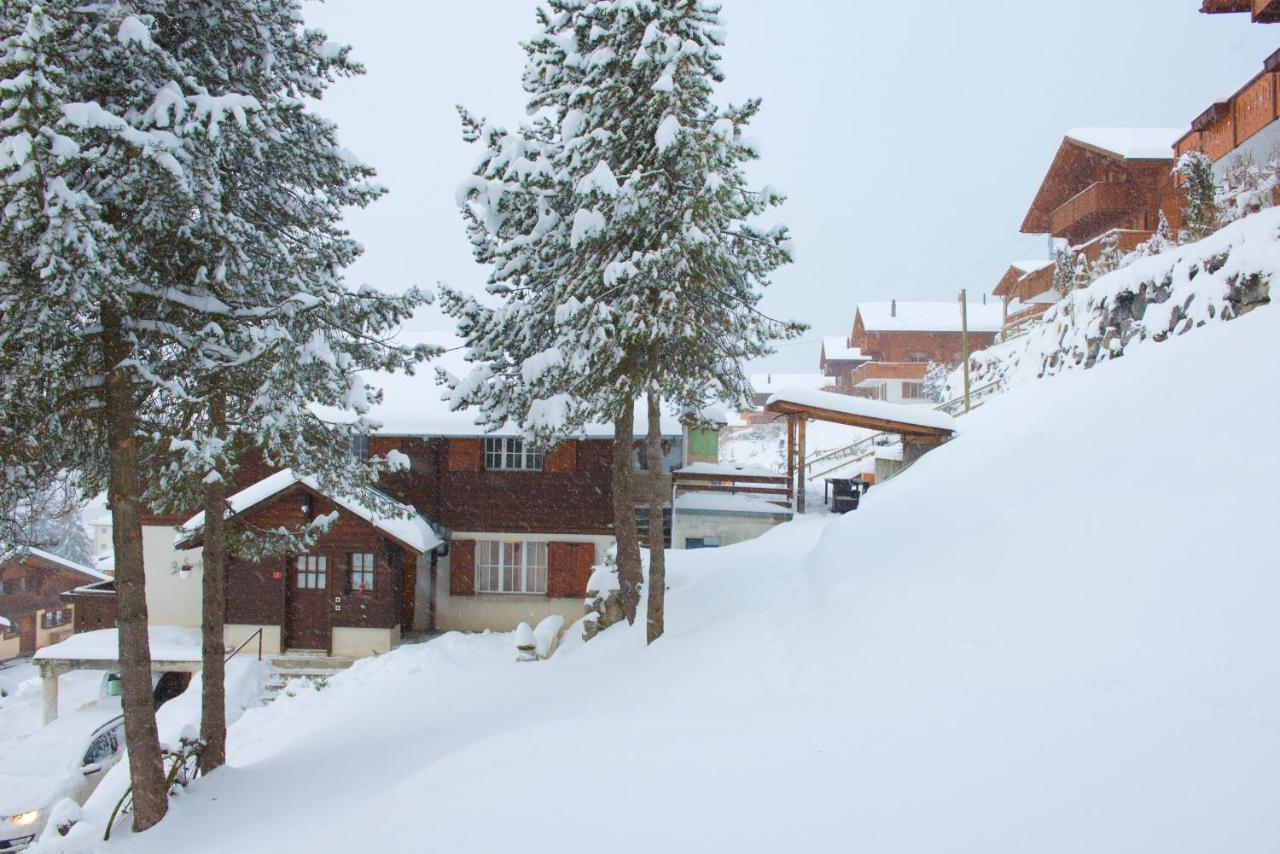 Chalet 4 Personnes Avec Sauna เลแซ็ง ภายนอก รูปภาพ
